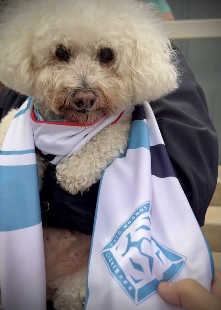 El London City Lionesses permite la entrada de perros a sus partidos en la zona de terrazas